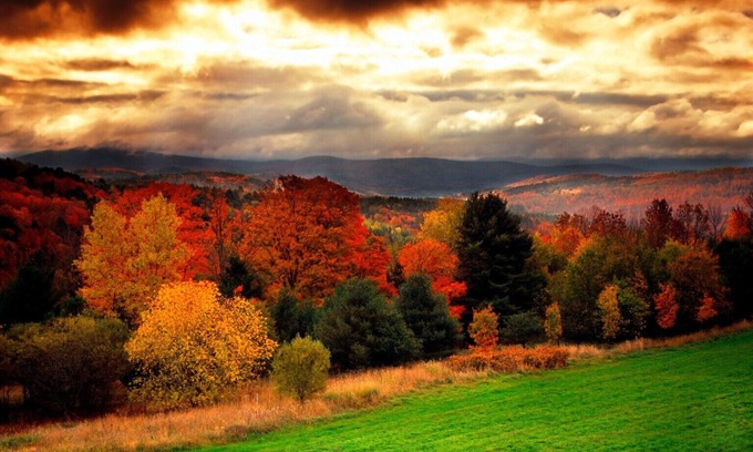 Bar Harbor House | See Maine in the fall – stunning! Private oceanfront retreat, Acadia, Sleeps 12