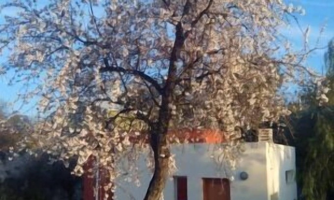 Calles Cottage | Self catering cottage La Aldea for 4 people
