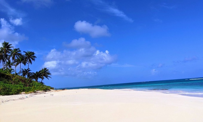North Palmetto Point House | Semi-private beach. Relaxing Getaway. Adults Only.