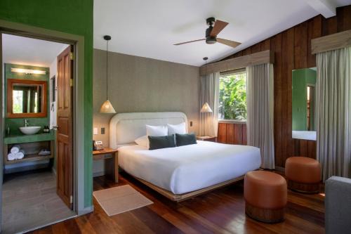 Monteverde Hotel | Senda Monteverde Hotel Member of the Cayuga Collection