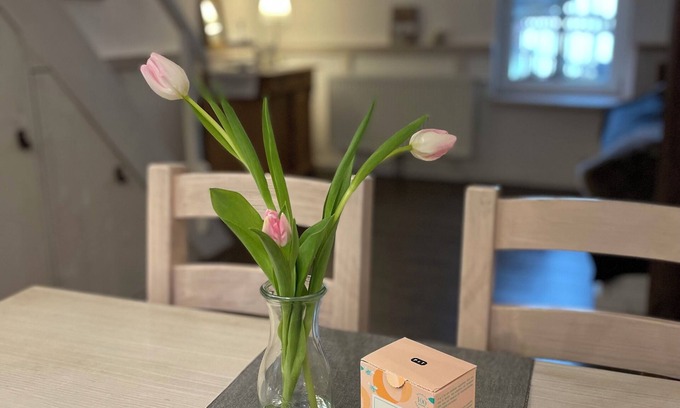 Bad Kreuznach Apartment | Separate old town apartment with loft.