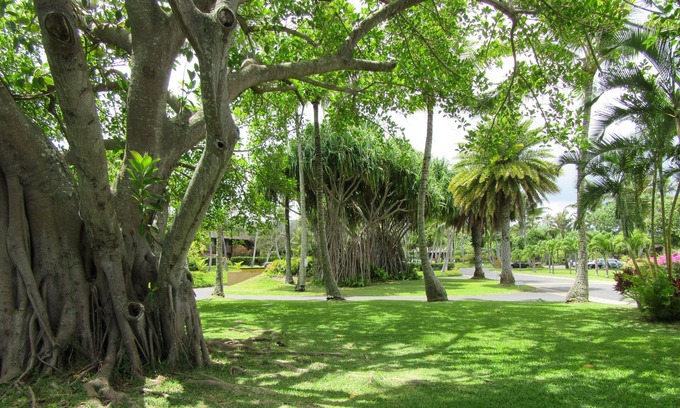 Kahuku Condo | SEPTEMBER SPECIAL RATE! - 1-bedroom condo, pools, walking distance to beaches.