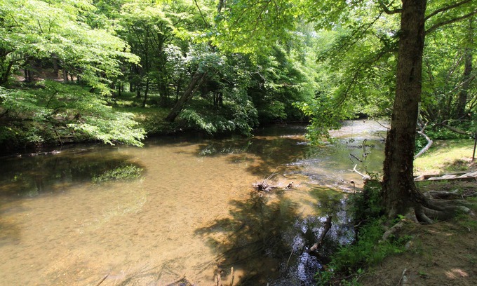 Suches Cabin | Serendipity - Cabin on Toccoa River w/Game Room & New Appliances and Furniture