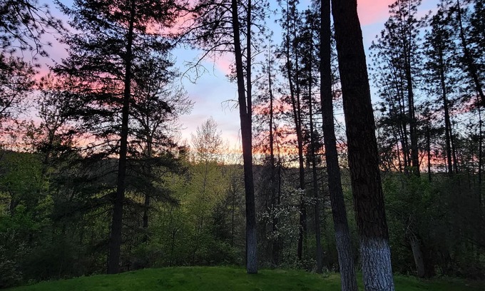 Colbert Apartment | Serene Hideaway near nature and the Little Spokane River
