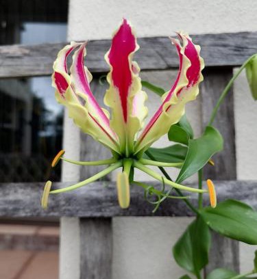 Westville Bed & Breakfast | Serenity Place B&B and Conference, wedding venue