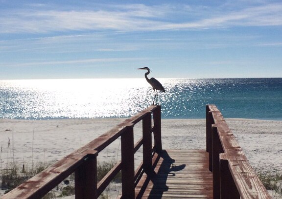 Navarre Beach House | Serenity Sands Gulf Front Townhouse!