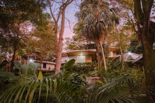 Canaveral Resort | Serrano Tayrona Lodge