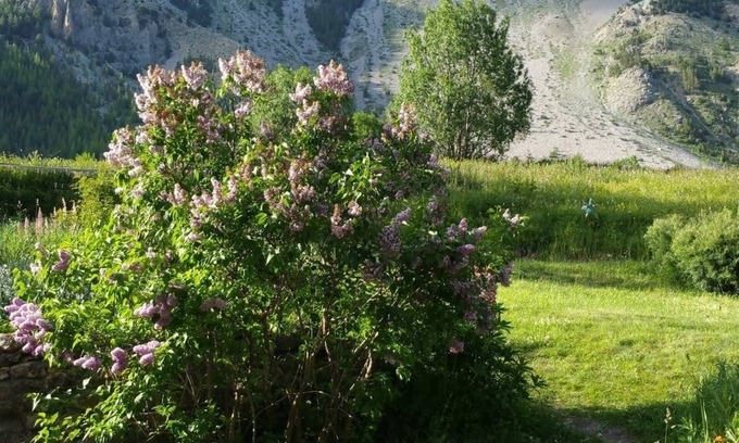 Nevache House | Several apartments/houses for rent in a beautiful valley in France