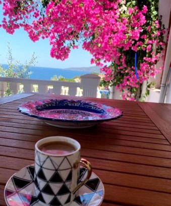 Bogazici Villa | Sevinc Papatya House