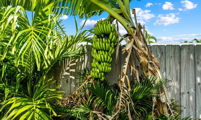 Boynton Beach House | Shady Grove Villa