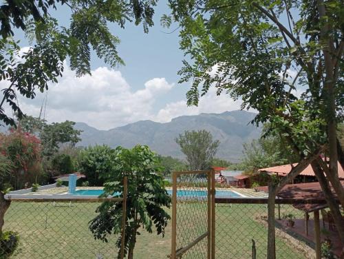 Masinagudi Resort | SHAFATH ALI KHAN BED and BREAKFAST