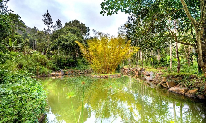 Yercaud Hotel | Shambala Yercaud