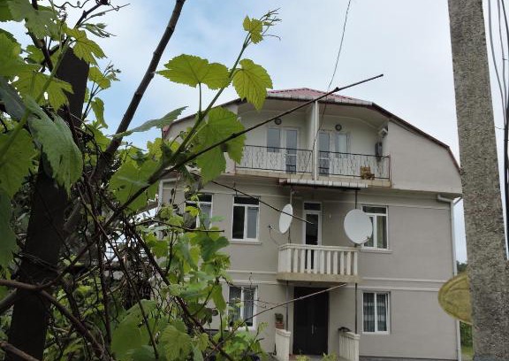 Mtsvane Kontskhi House | Shamil House