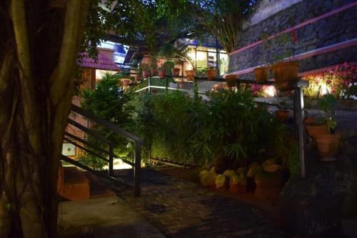 Devikolam House | Shamrock Holiday Home