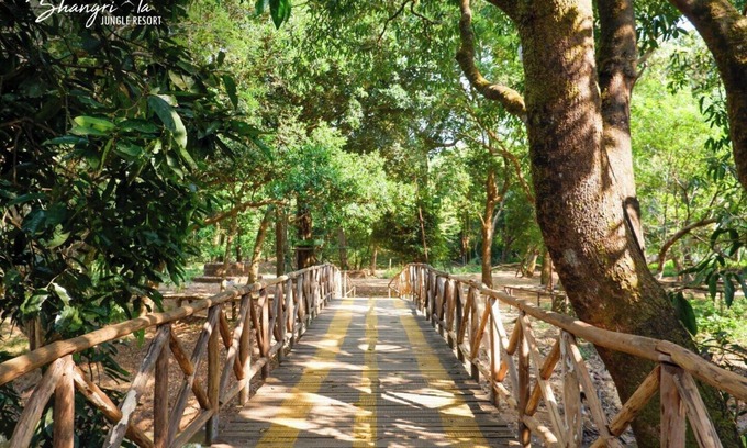 Kulem Hotel | Shangri La Jungle Resort