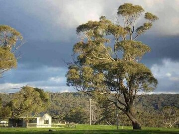 Curraweela Cottage | Shearers' Cottage at Tanjenong in Curraweela