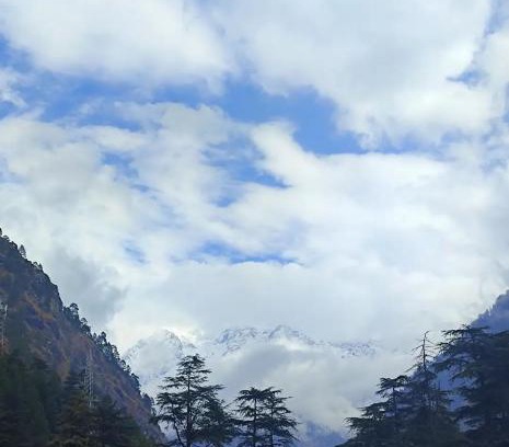 Kasol House | Shivay homestay kasol