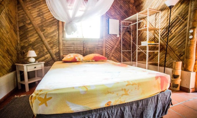 Tartane House | Shuit Bambou