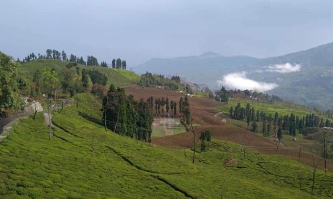 Turuk House | Shyam homestay, Rangli Bazar, Rangli Rangli o.t, Darjeeling, westbengal