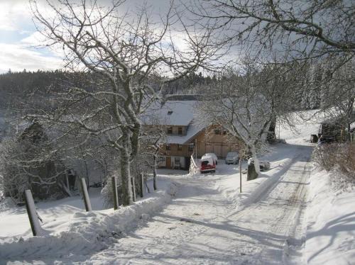 Schonach im Schwarzwald Apartment | Sigmundenhof