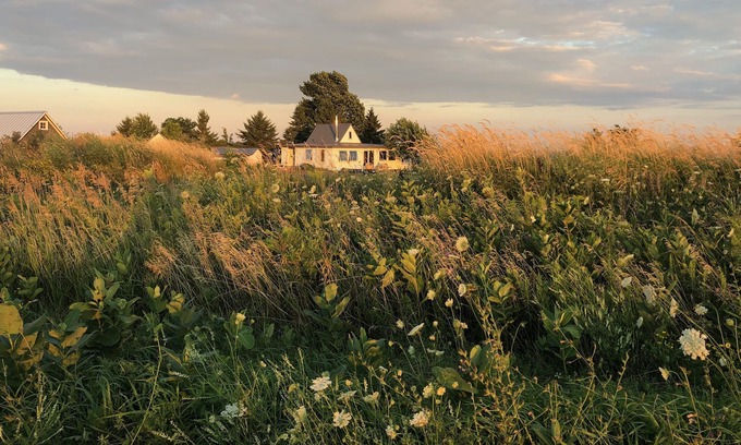 Wolfe Island Cottage | Simcoe Island retreat