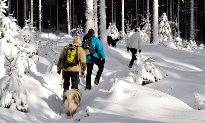 Fichtelberg Apartment | Single room, shower, WC, non-smoking - WAGNER'S Hotel and Restaurant