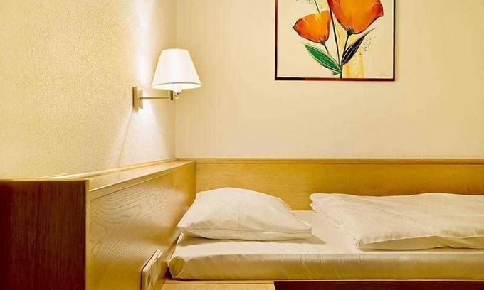Umkirch Apartment | Single room with toilet and shower - Hotel Heuboden