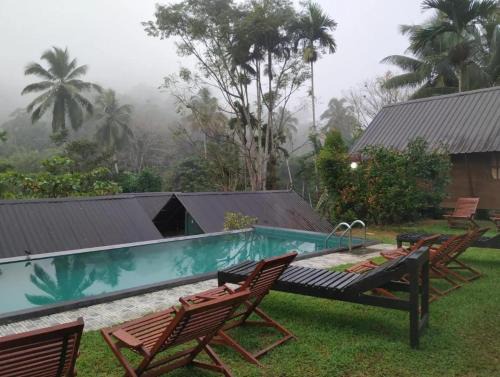 Kotapola Bed & Breakfast | Sinharaja Rainforest Sanctuary