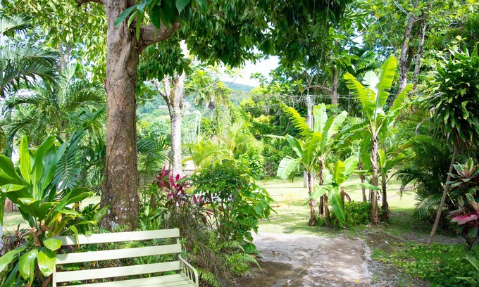 Port Antonio House | Sinopia Inn