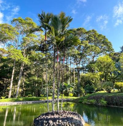 Pacuare Reserve Bed & Breakfast | Siquirres Mountain Lodge