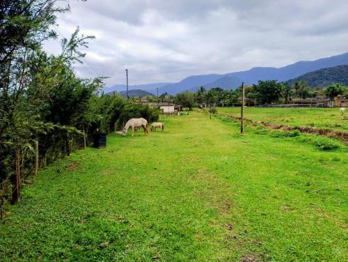 Camburi House | Sitio 6 Irmãos