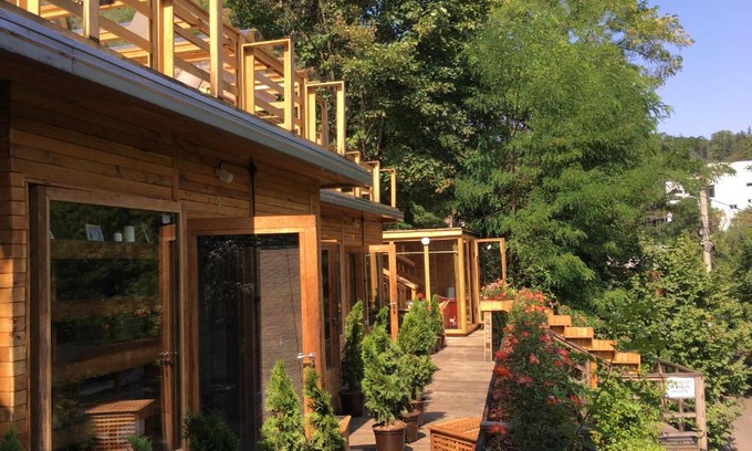 Brasov Bed & Breakfast | Skay Loft