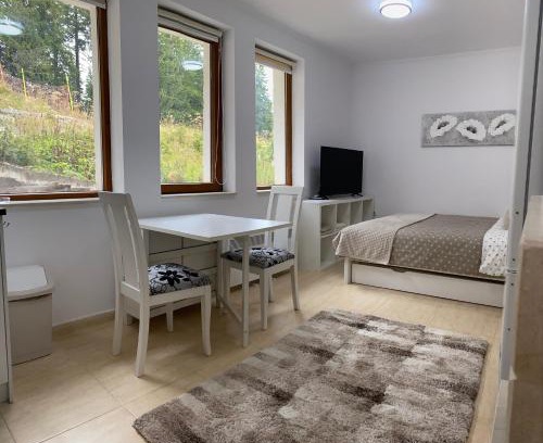 Pamporovo Apartment | Ski in Ski out, Grand Monastery, Pamporovo