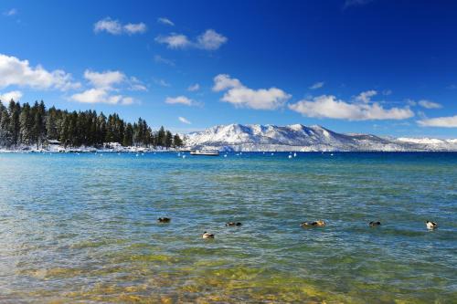 South Lake Tahoe Apartment | Ski Run Village