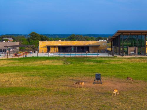 Fredericksburg Resort | SKYE Texas Hill Country Resort