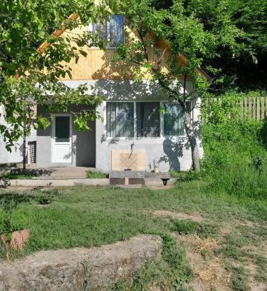 Likani Ski Chalet | Small cottage near Borjomi