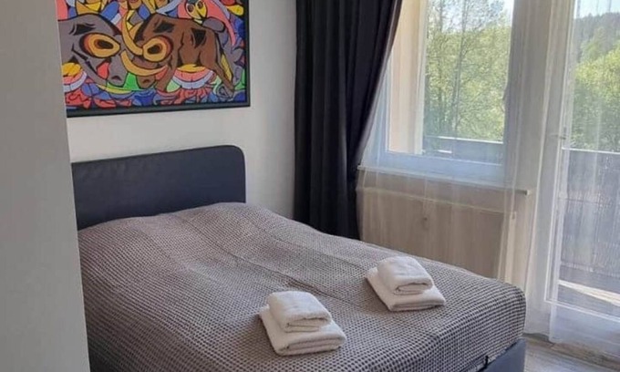Bad Elster Apartment | Small cozy apartment with balcony in a central location