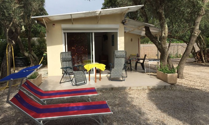 Saint-Andre House | Small house in olive grove next to ARGELES SUR MER