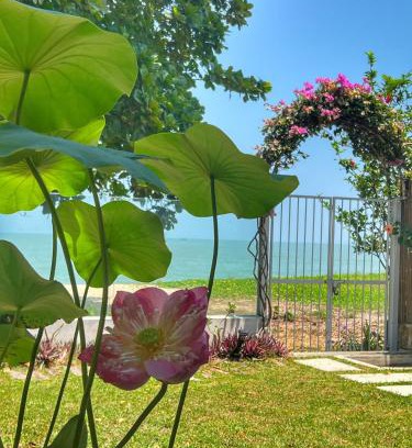 Tanjung Bungah House | Smell rose beach garden花语海沙滩花园