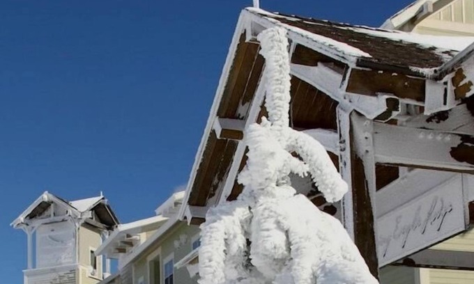 Snowshoe Apartment | ** Soaring Eagle Lodge Ski in/out **