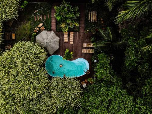 Isla Bastimentos Hotel | Socialtel Red Frog