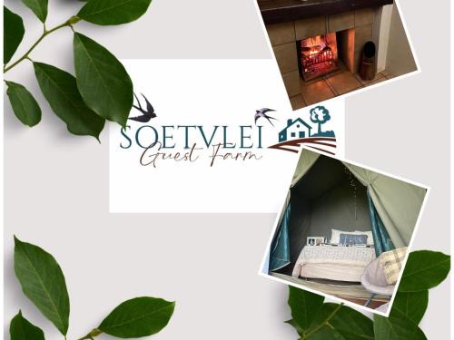 Maanhaarand Other | Soetvlei Tented Camp