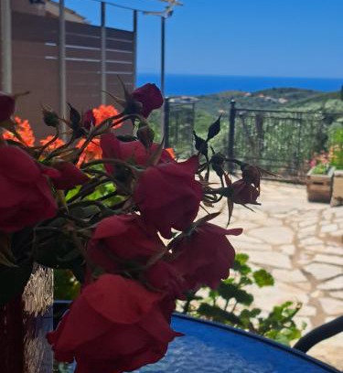 Agia House | Sogno 2