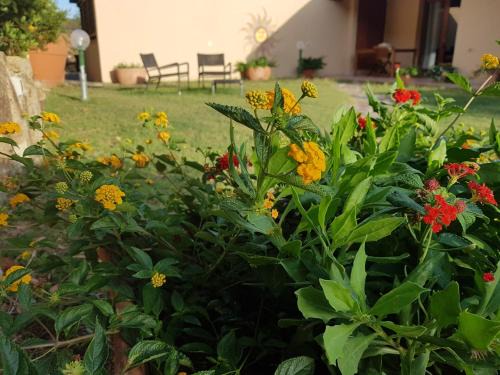 Chia House | Sole&Mare di Barbara