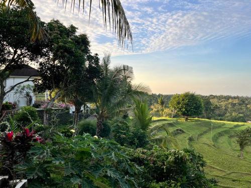 Negara Resort | Soma Bloom Resort