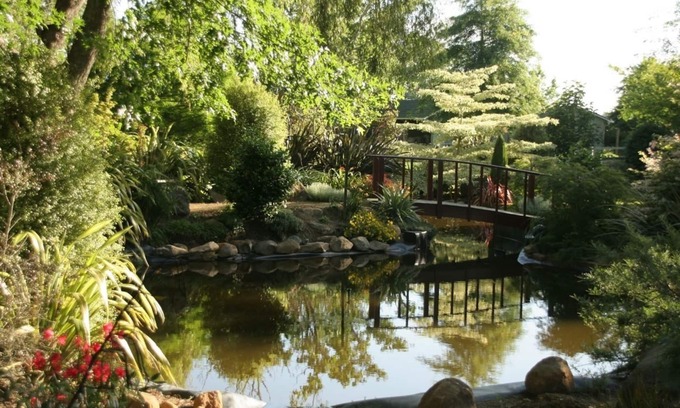 Pirongia Bed & Breakfast | Somersal Bed & Breakfast