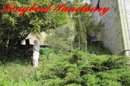 Civray-de-Touraine House | Songbird Sanctuary