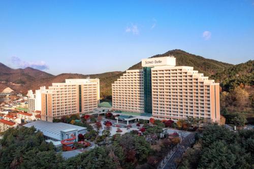 Danyang Hotel | Sono Belle Danyang