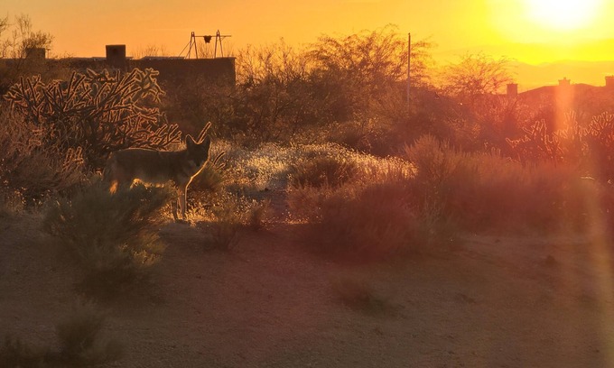 Pinnacle Peak House | Sonoran Desert Retreat - Quiet, Gated, Custom home with Incredible SUNSETS !