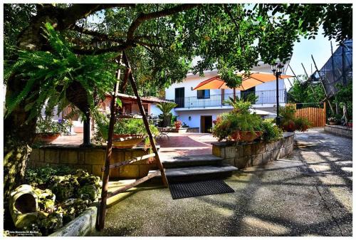 Sorrento Bed & Breakfast | Sosò